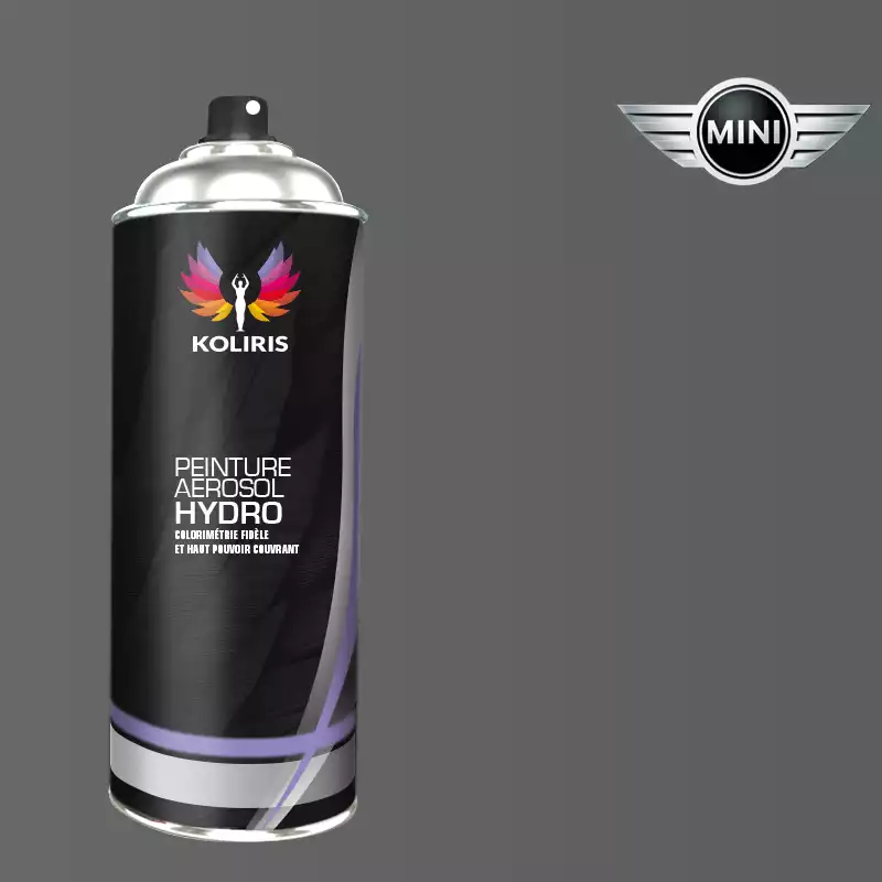 Bombe de peinture voiture hydro Mini 400ml