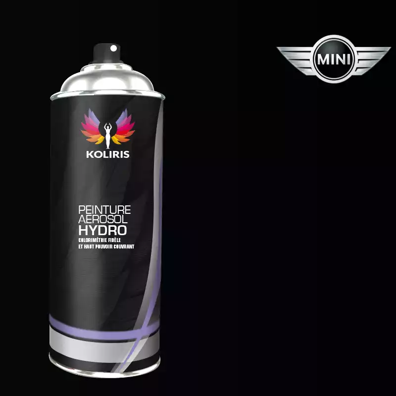 Bombe de peinture voiture hydro Mini 400ml