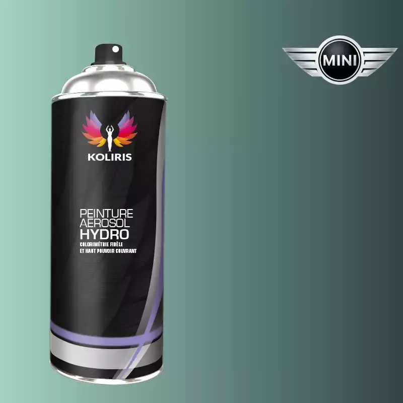 Bombe de peinture voiture hydro Mini 400ml