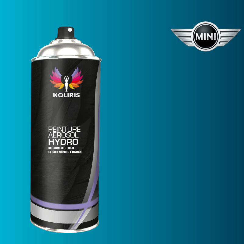 Bombe de peinture voiture hydro Mini 400ml