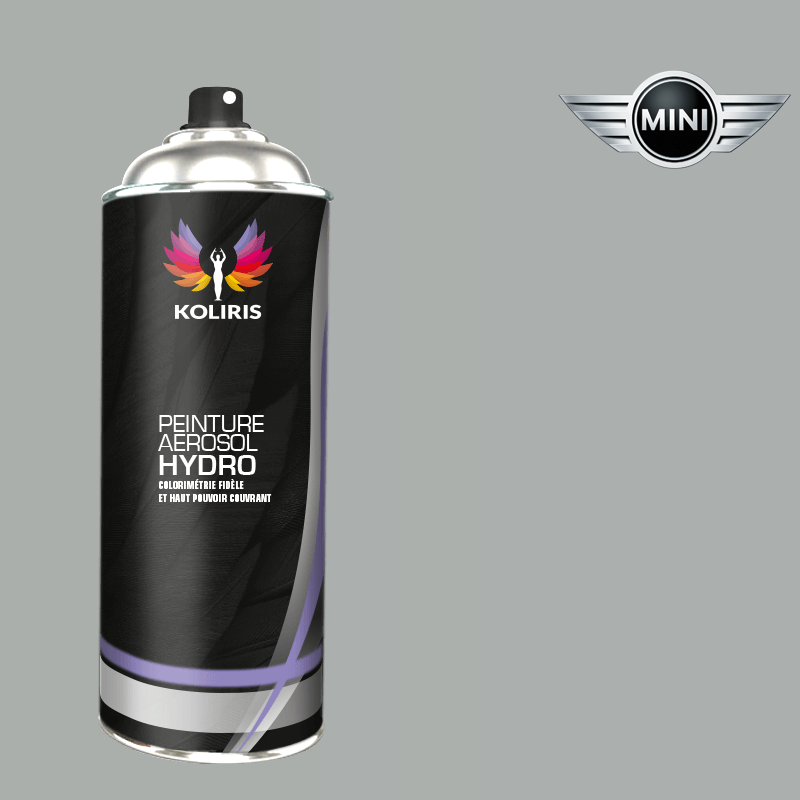 Bombe de peinture voiture hydro Mini 400ml