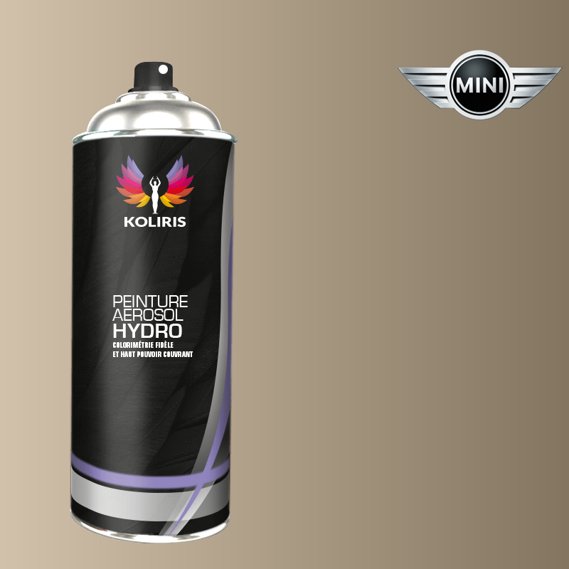 Bombe de peinture voiture hydro Mini 400ml