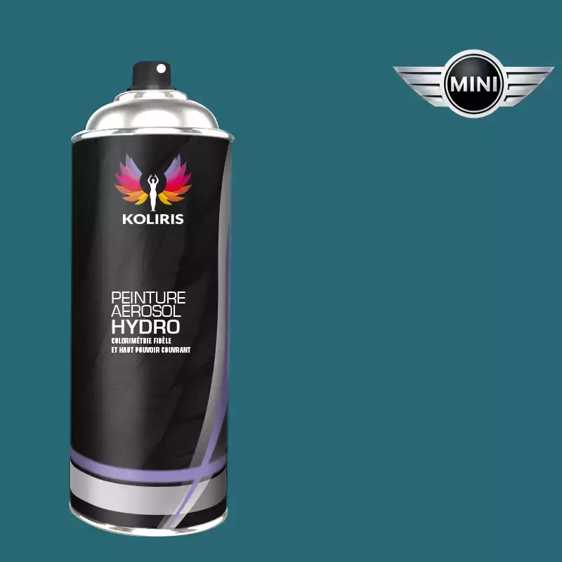 Bombe de peinture voiture hydro Mini 400ml