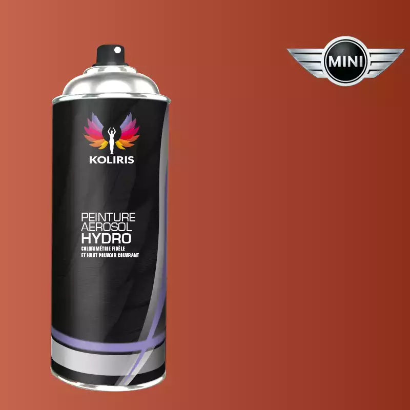 Bombe de peinture voiture hydro Mini 400ml