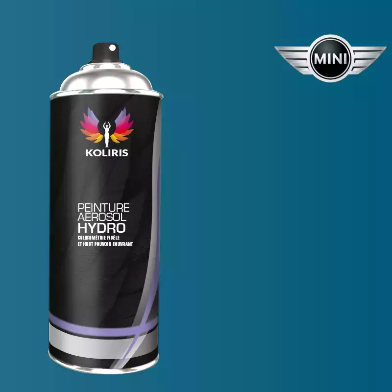 Bombe de peinture voiture hydro Mini 400ml