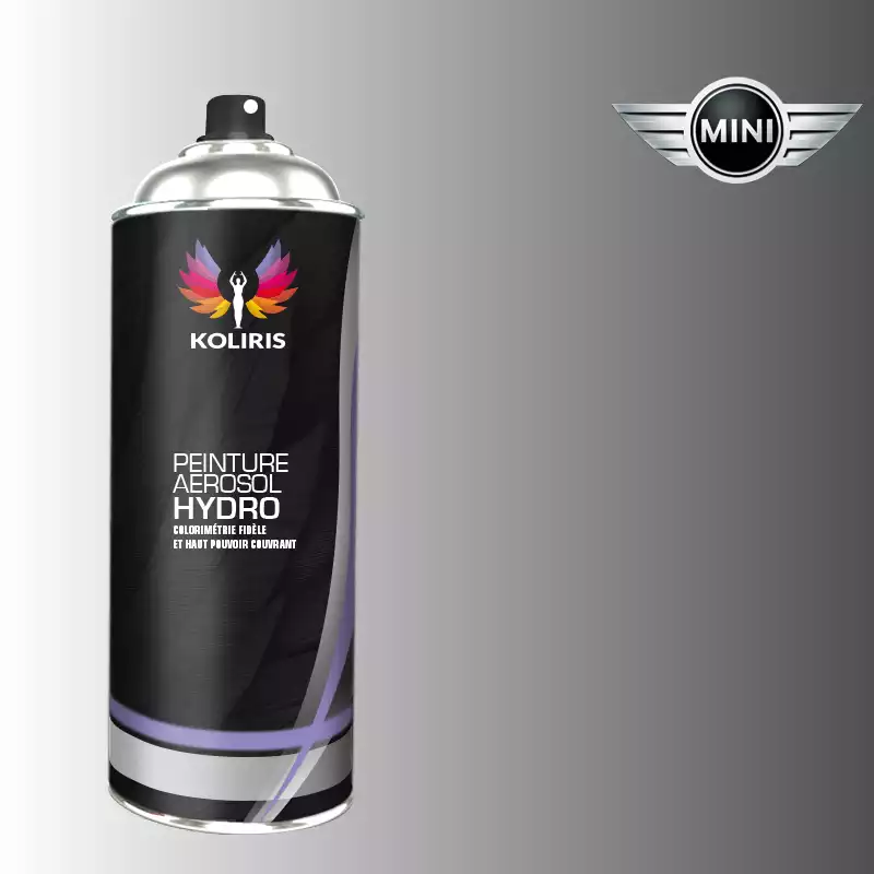 Bombe de peinture voiture hydro Mini 400ml