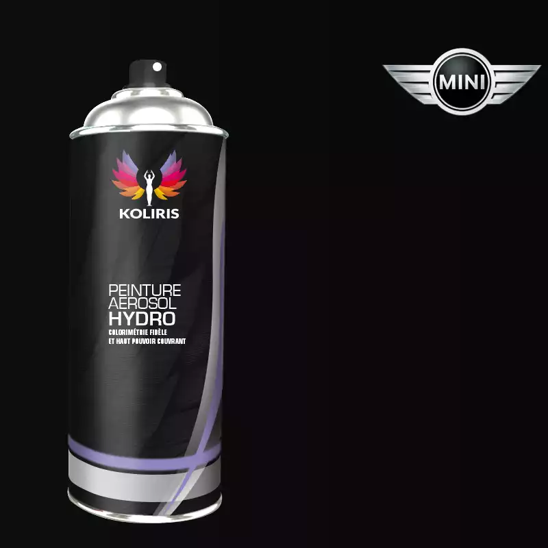 Bombe de peinture voiture hydro Mini 400ml