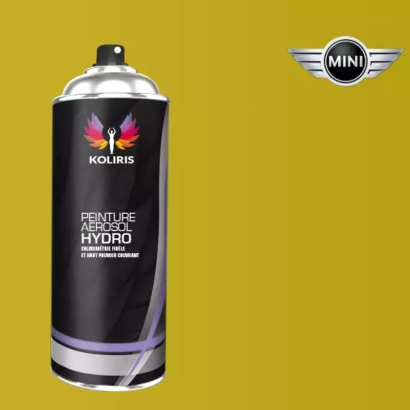 Bombe de peinture voiture hydro Mini 400ml