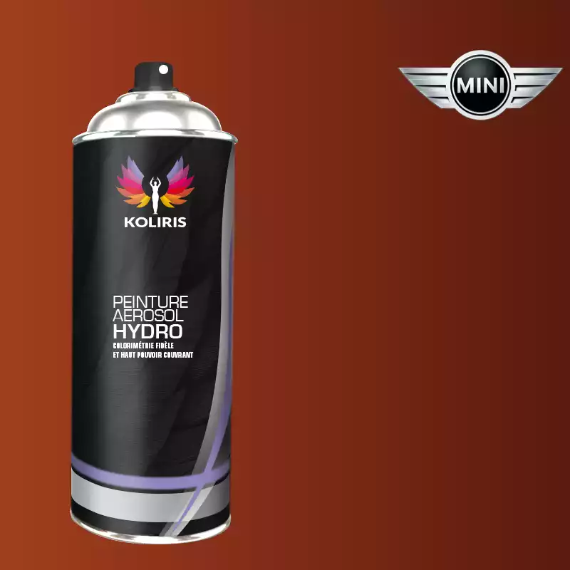 Bombe de peinture voiture hydro Mini 400ml