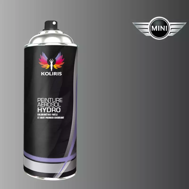 Bombe de peinture voiture hydro Mini 400ml