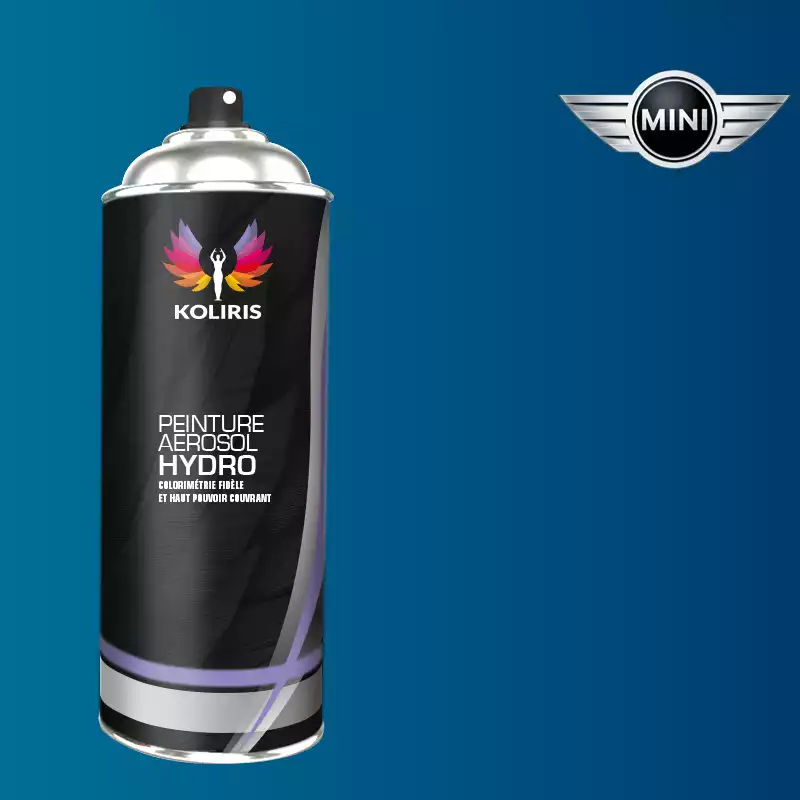 Bombe de peinture voiture hydro Mini 400ml