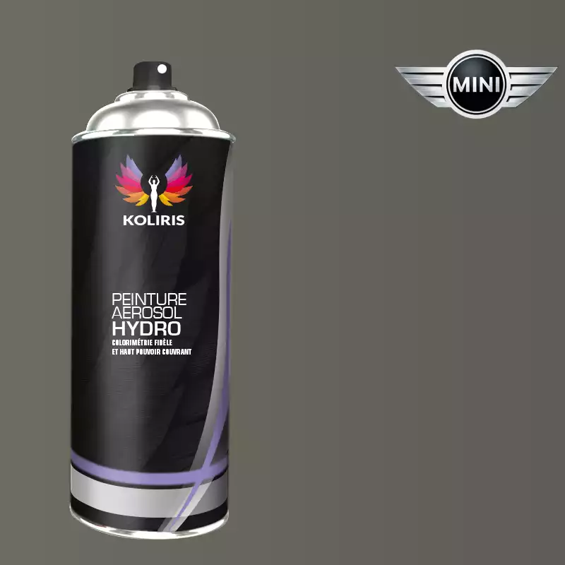 Bombe de peinture voiture hydro Mini 400ml