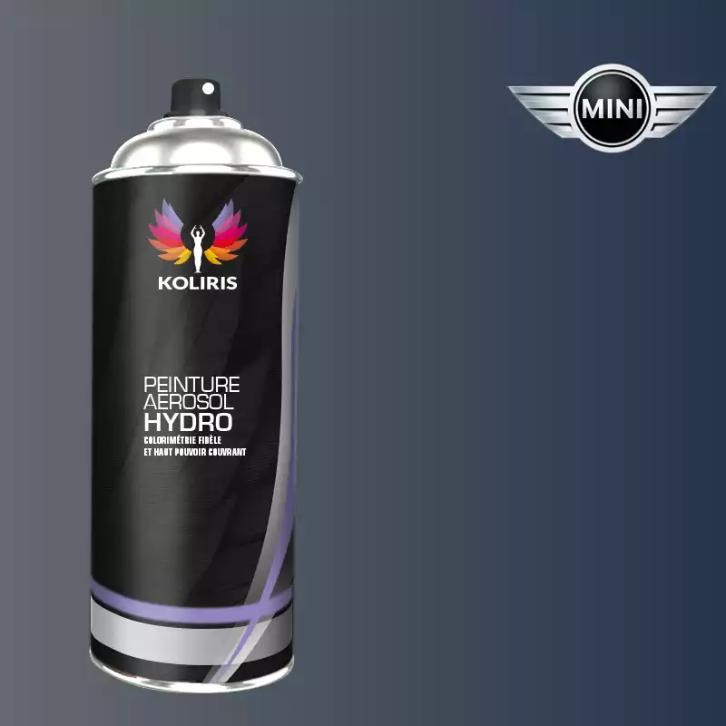 Bombe de peinture voiture hydro Mini 400ml