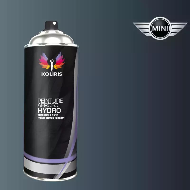 Bombe de peinture voiture hydro Mini 400ml