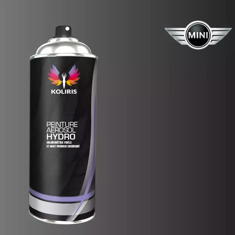 Bombe de peinture voiture hydro Mini 400ml