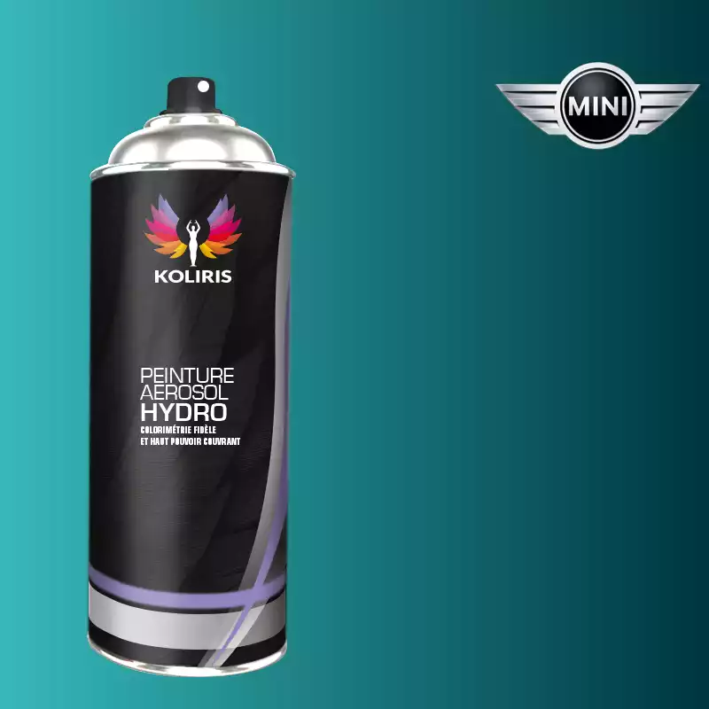 Bombe de peinture voiture hydro Mini 400ml