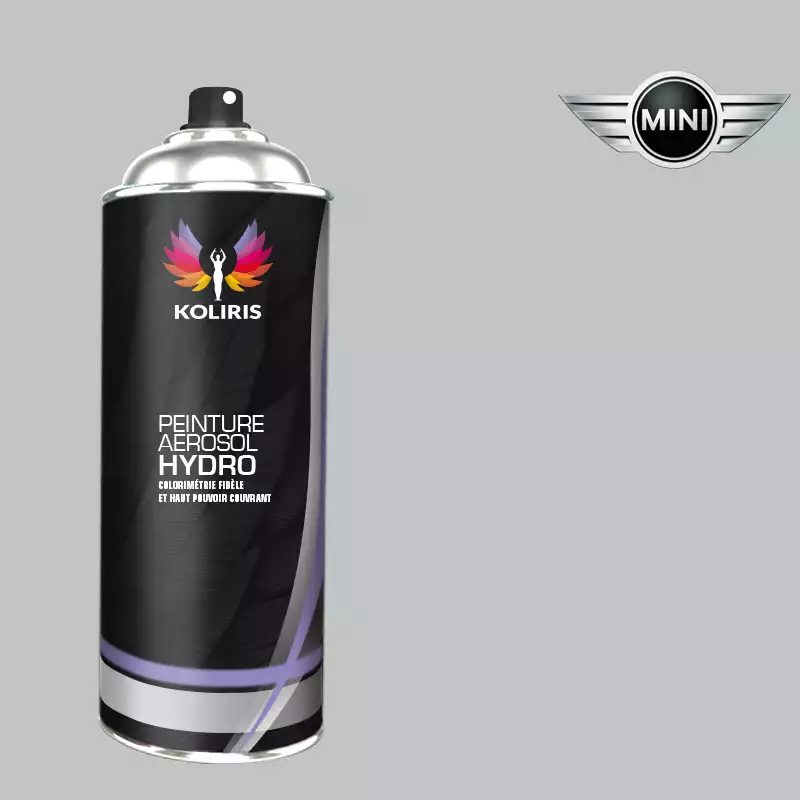 Bombe de peinture voiture hydro Mini 400ml