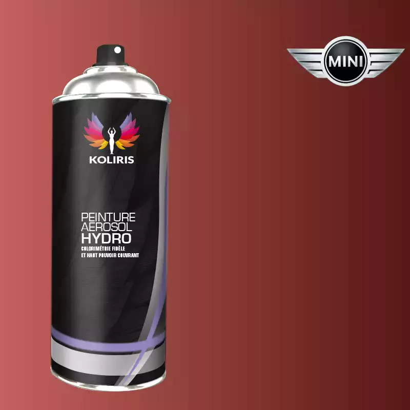 Bombe de peinture voiture hydro Mini 400ml