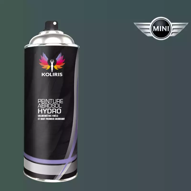 Bombe de peinture voiture hydro Mini 400ml