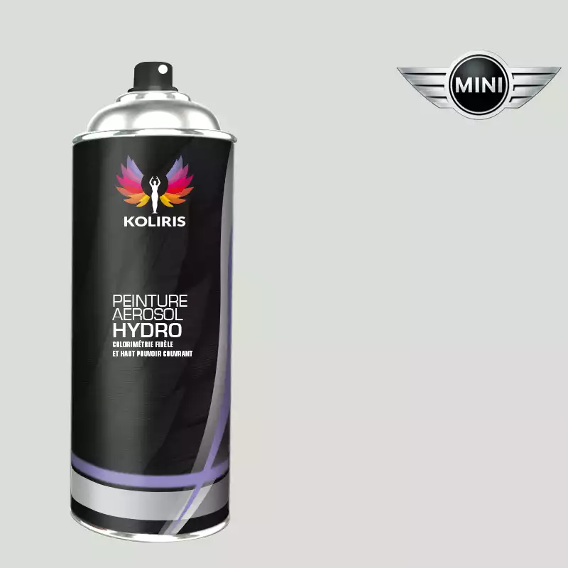 Bombe de peinture voiture hydro Mini 400ml