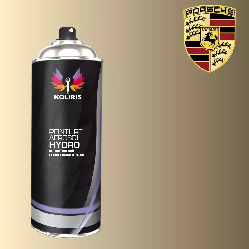 Bombe de peinture voiture hydro Porsche 400ml