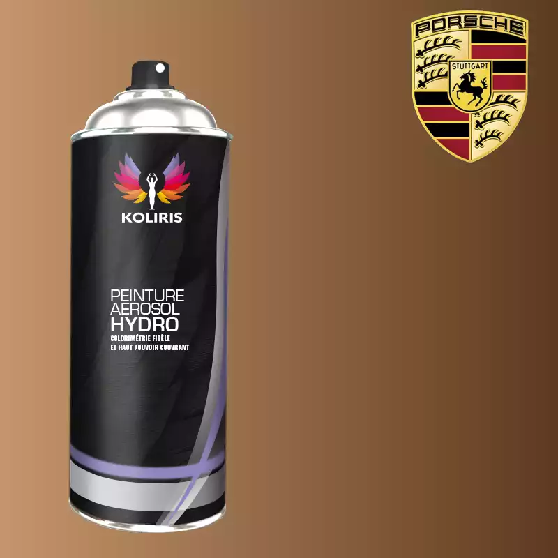 Bombe de peinture voiture hydro Porsche 400ml