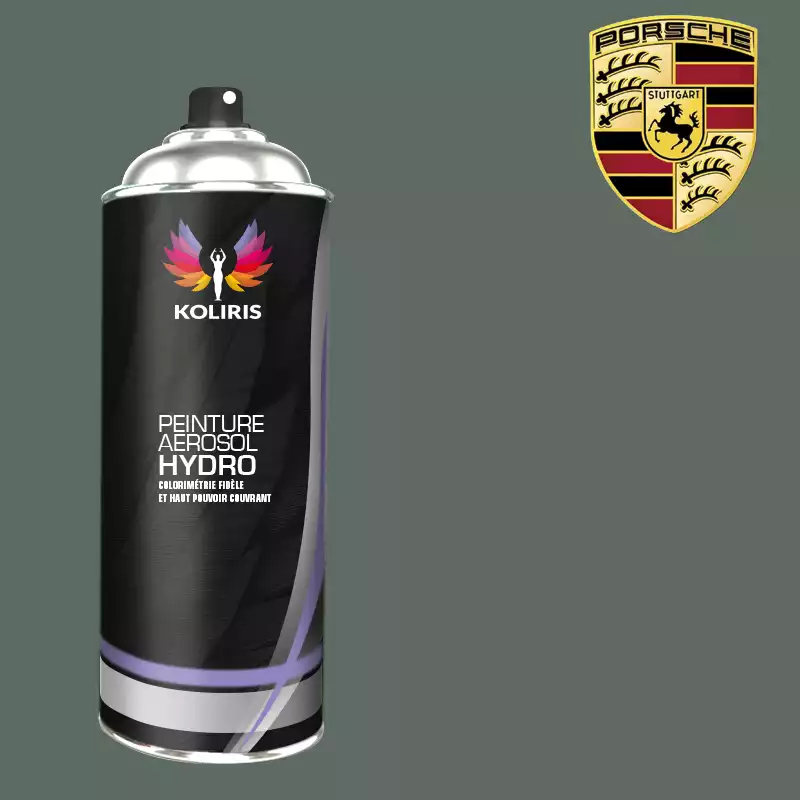 Bombe de peinture voiture hydro Porsche 400ml