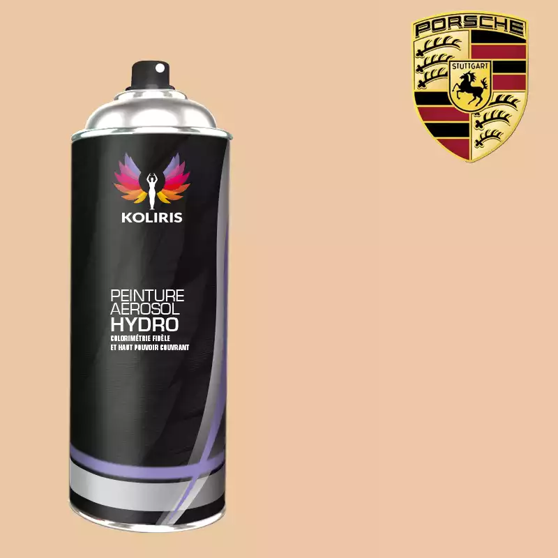 Bombe de peinture voiture hydro Porsche 400ml