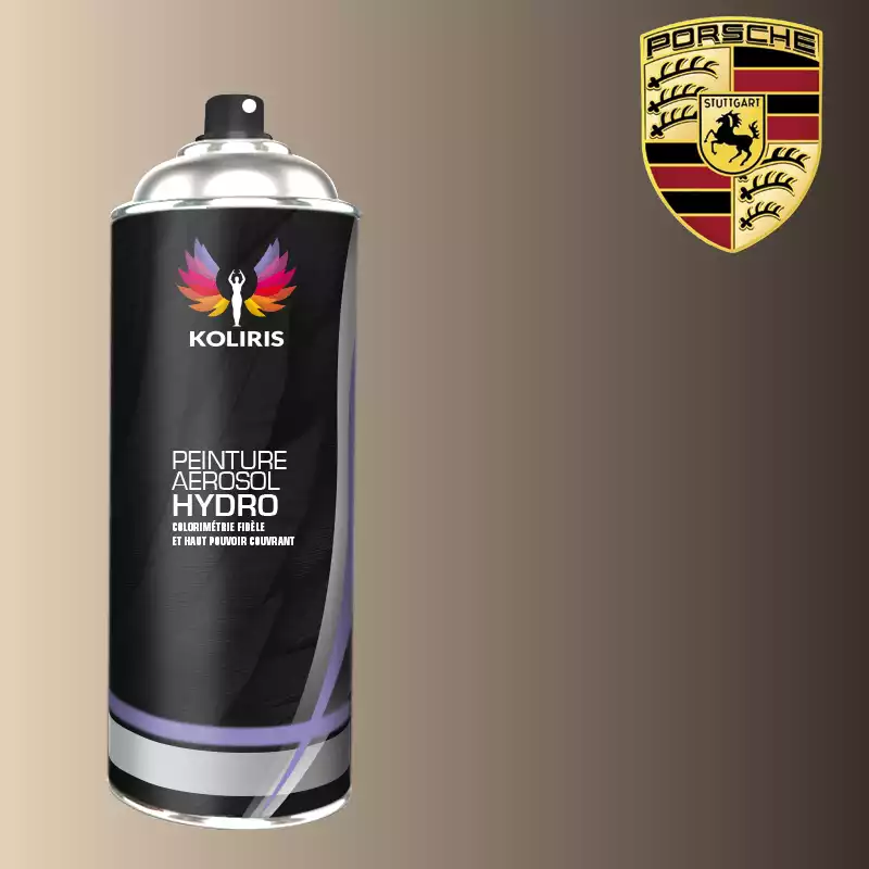 Bombe de peinture voiture hydro Porsche 400ml