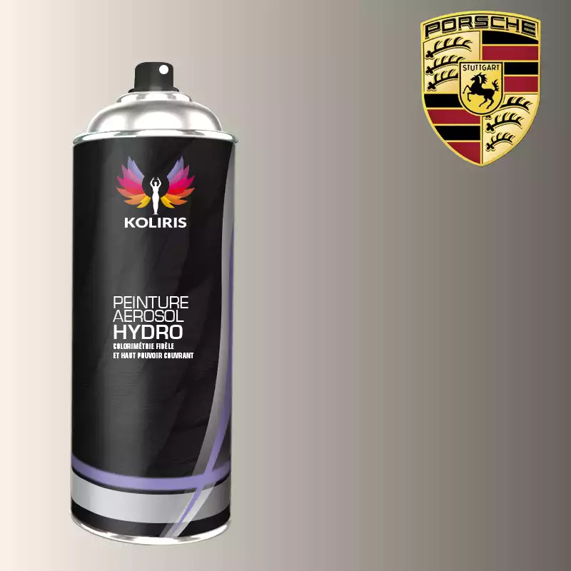 Bombe de peinture voiture hydro Porsche 400ml