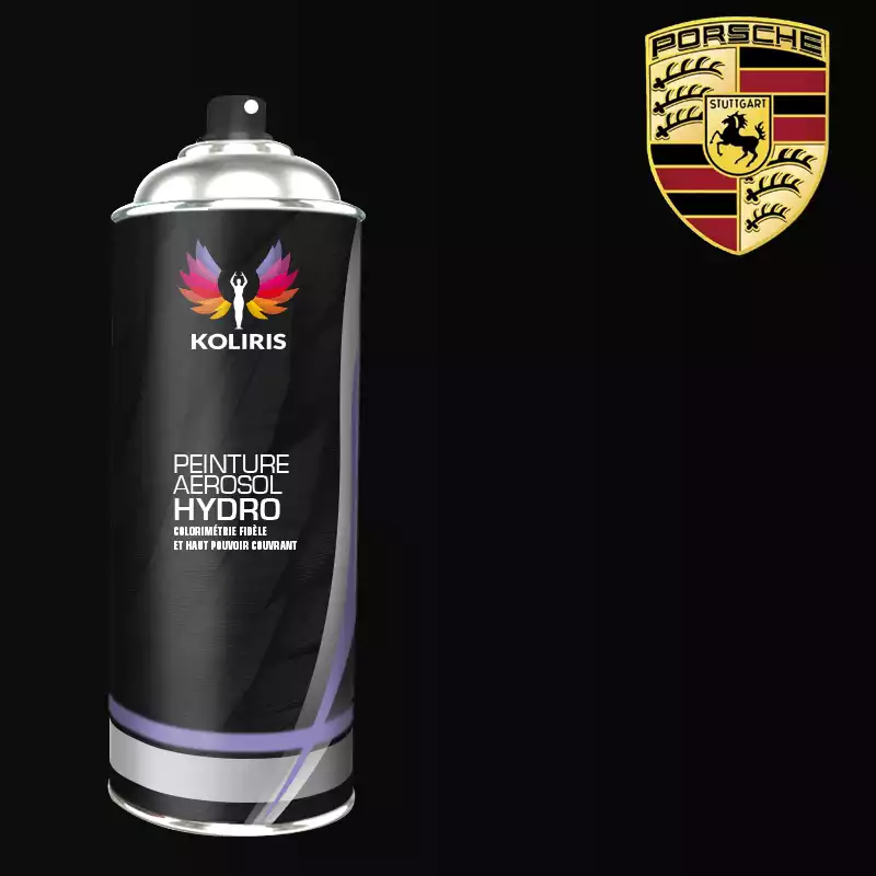 Bombe de peinture voiture hydro Porsche 400ml