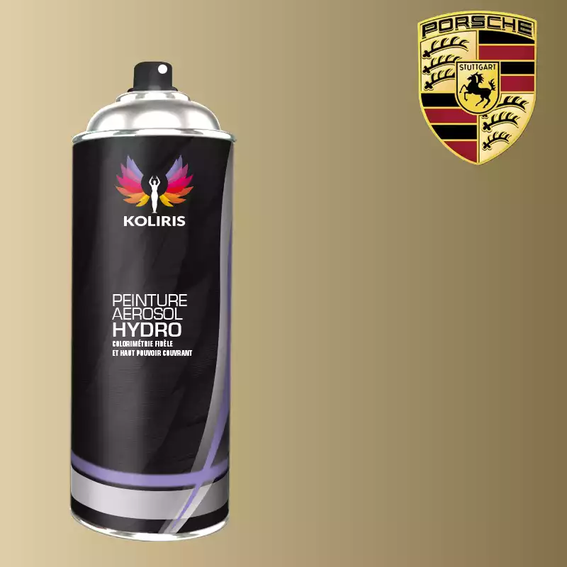 Bombe de peinture voiture hydro Porsche 400ml