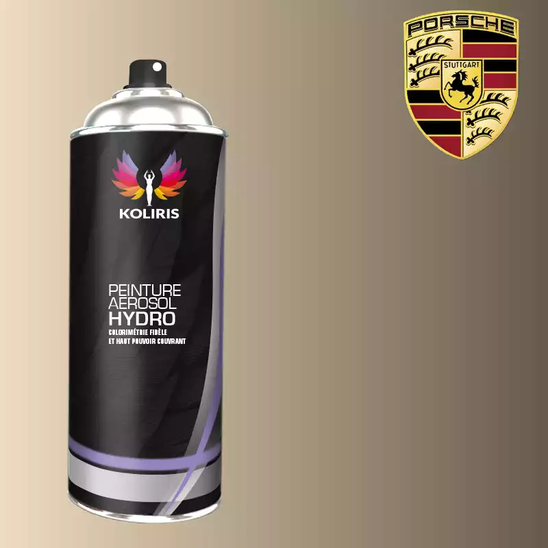 Bombe de peinture voiture hydro Porsche 400ml