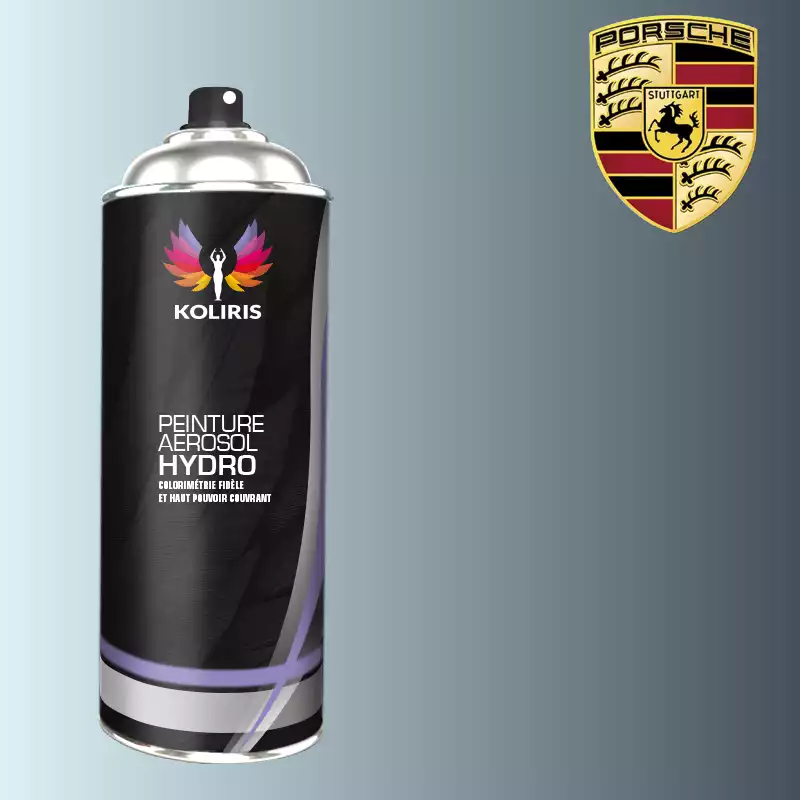 Bombe de peinture voiture hydro Porsche 400ml