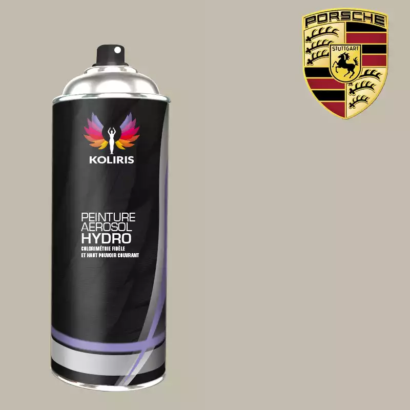 Bombe de peinture voiture hydro Porsche 400ml