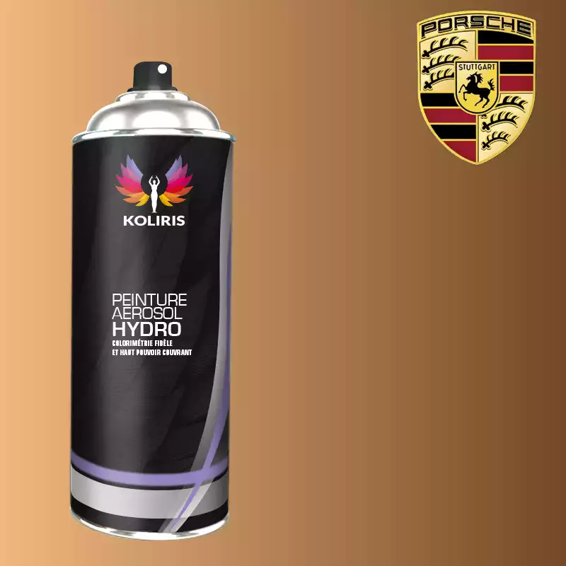 Bombe de peinture voiture hydro Porsche 400ml