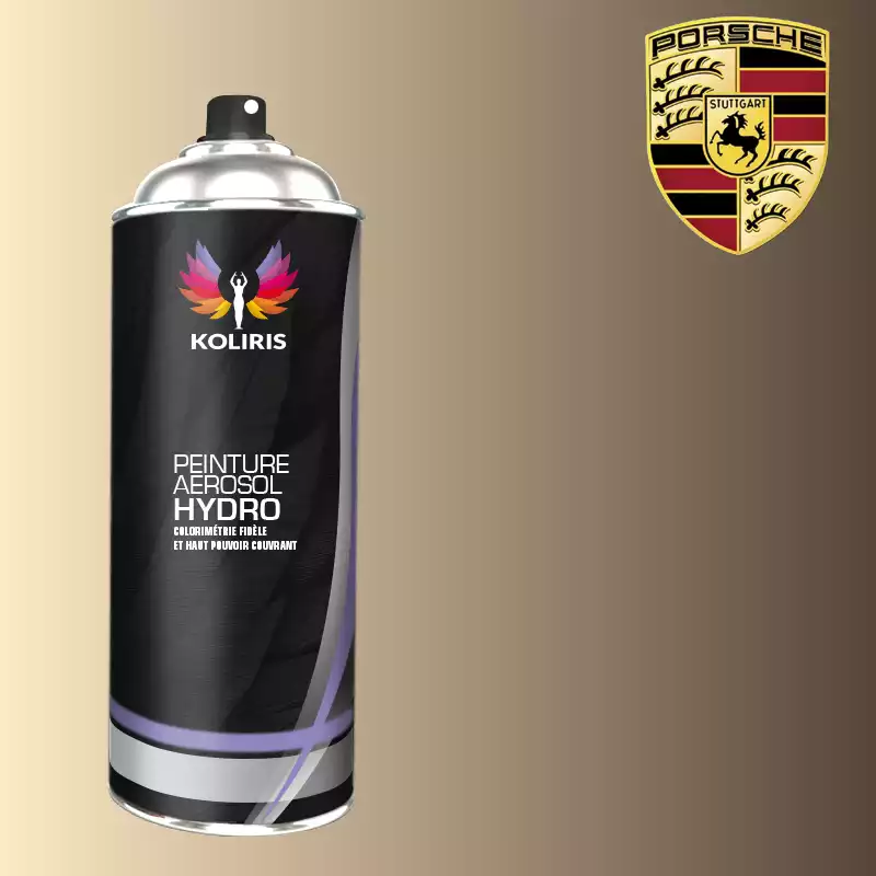 Bombe de peinture voiture hydro Porsche 400ml