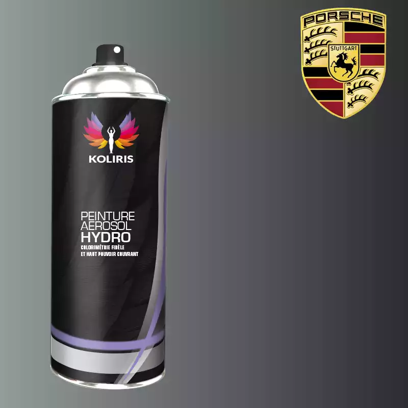 Bombe de peinture voiture hydro Porsche 400ml