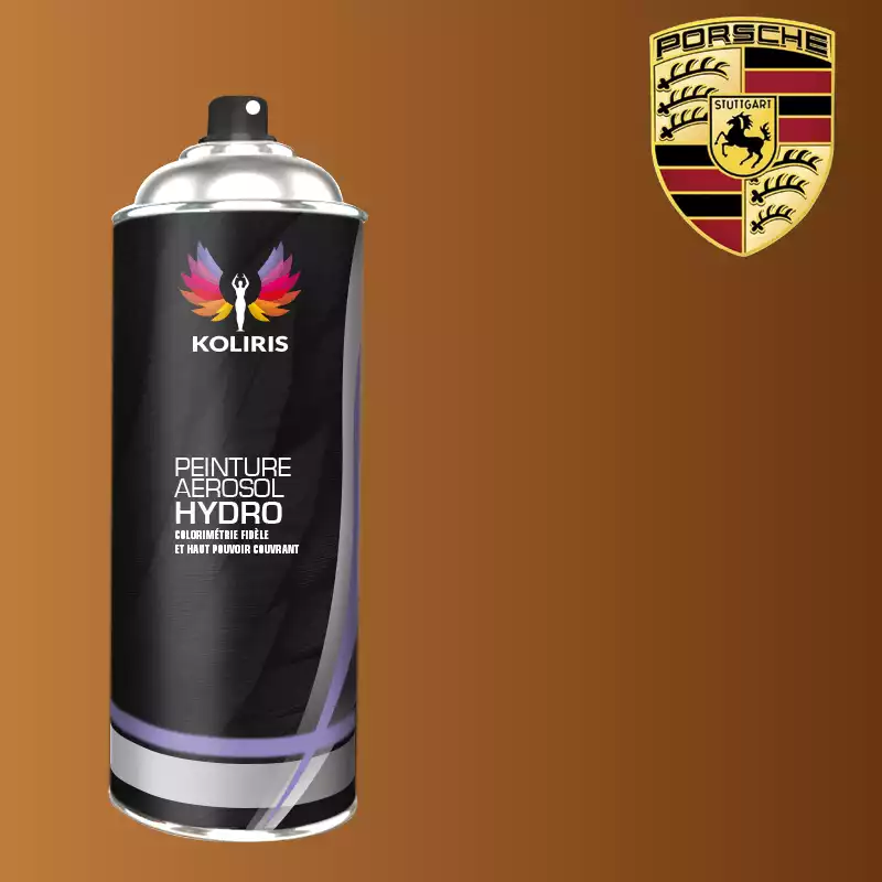 Bombe de peinture voiture hydro Porsche 400ml