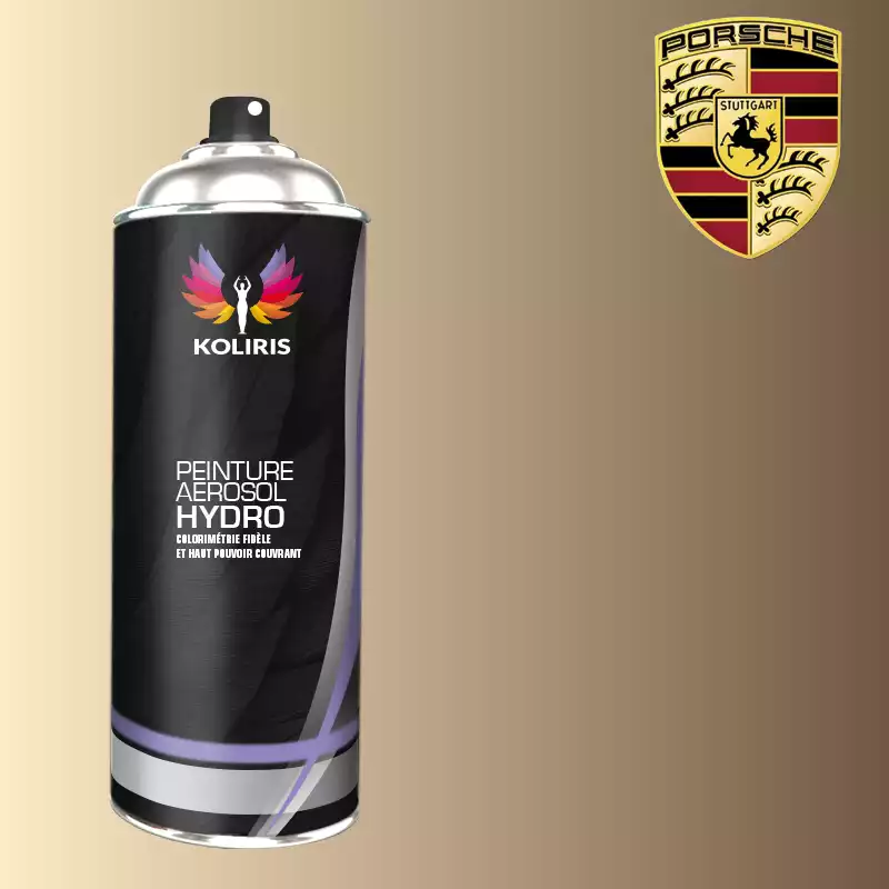 Bombe de peinture voiture hydro Porsche 400ml