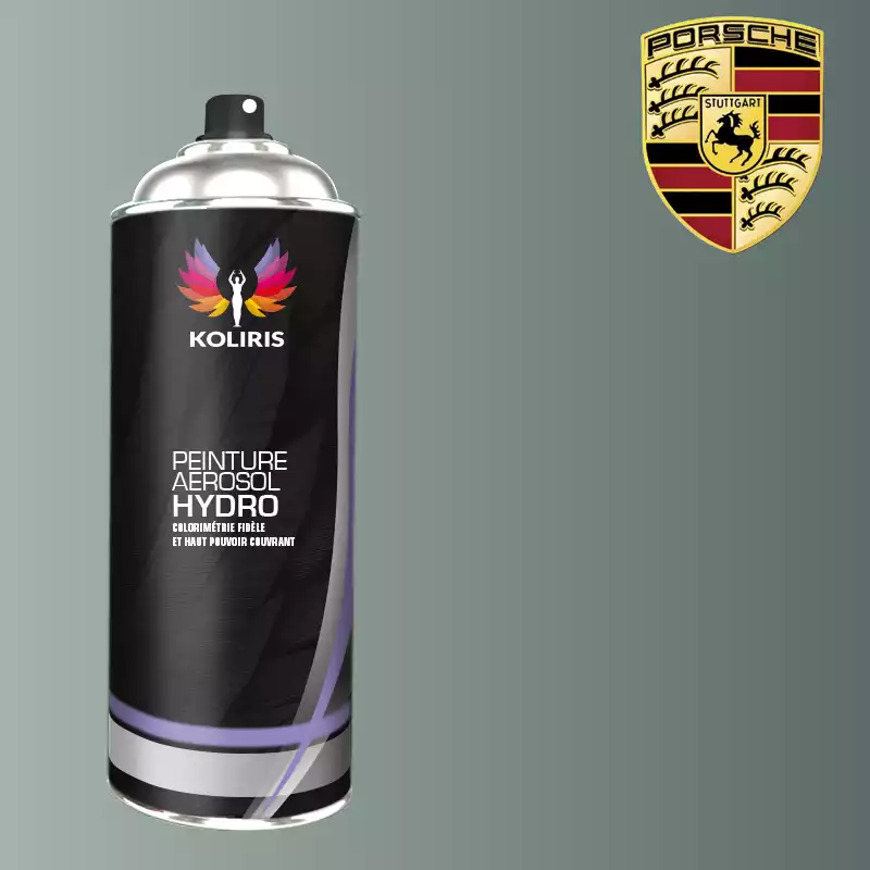 Bombe de peinture voiture hydro Porsche 400ml