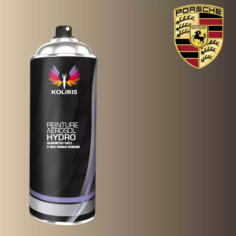 Bombe de peinture voiture hydro Porsche 400ml