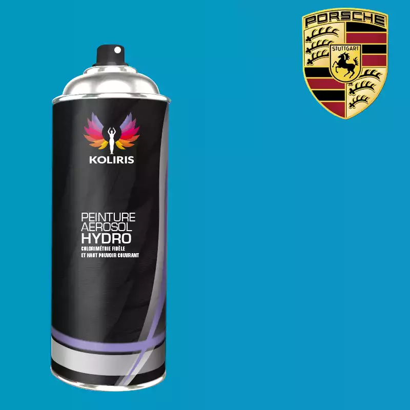 Bombe de peinture voiture hydro Porsche 400ml