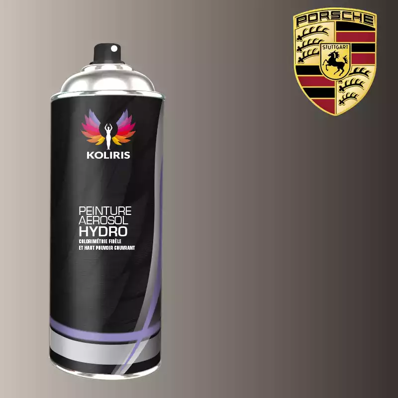 Bombe de peinture voiture hydro Porsche 400ml