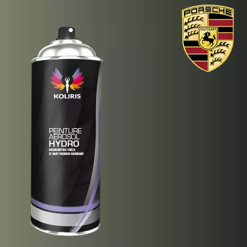 Bombe de peinture voiture hydro Porsche 400ml