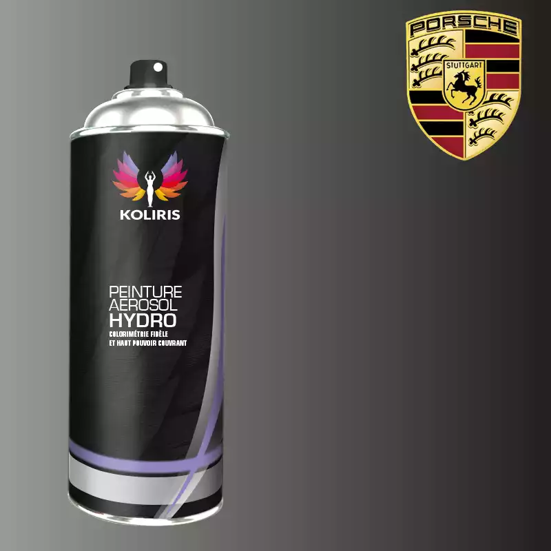 Bombe de peinture voiture hydro Porsche 400ml