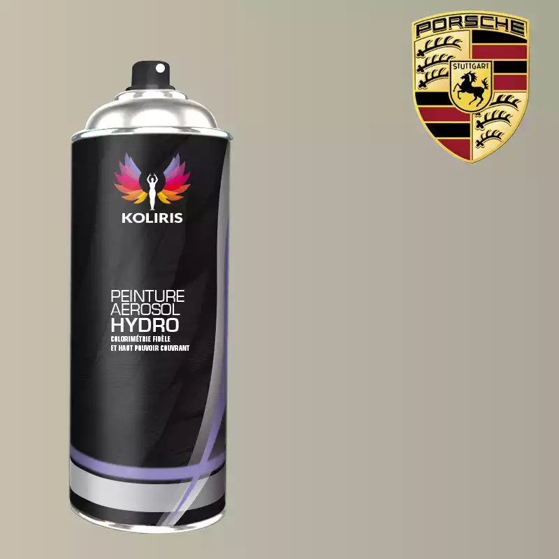 Bombe de peinture voiture hydro Porsche 400ml