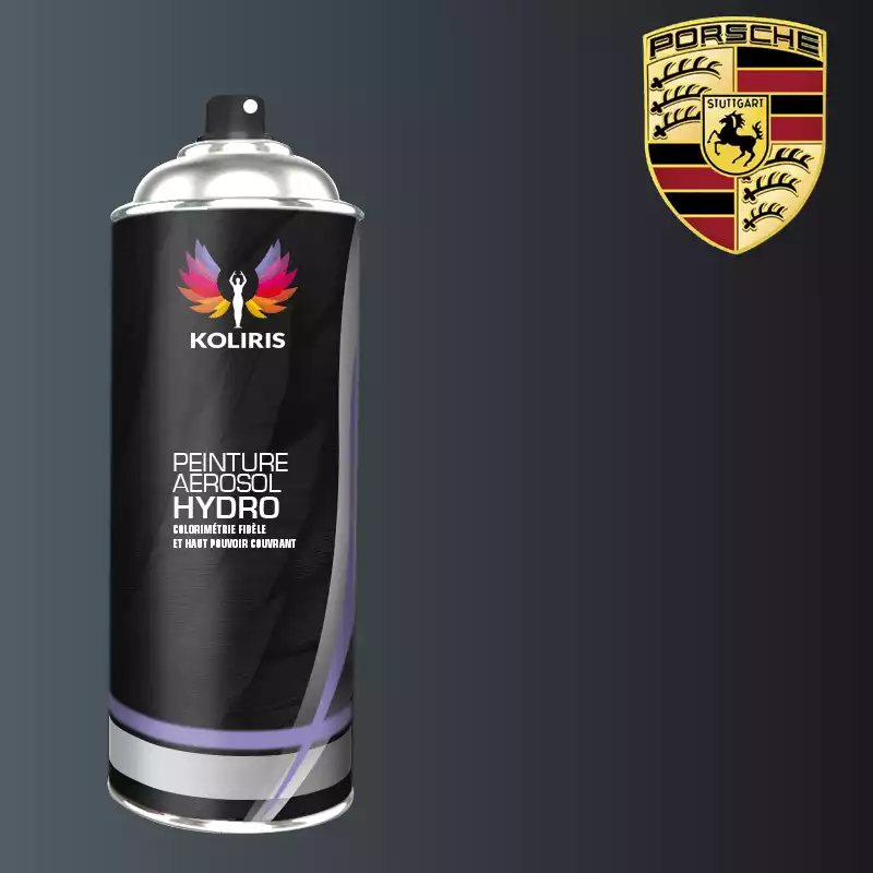 Bombe de peinture voiture hydro Porsche 400ml