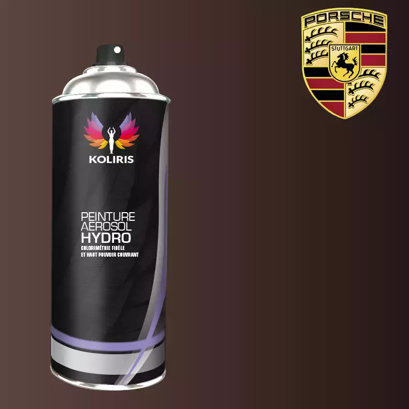 Bombe de peinture voiture hydro Porsche 400ml