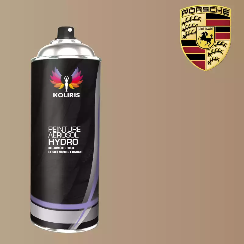 Bombe de peinture voiture hydro Porsche 400ml